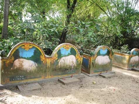 Ly kỳ chuyện quái heo đi… khất thực