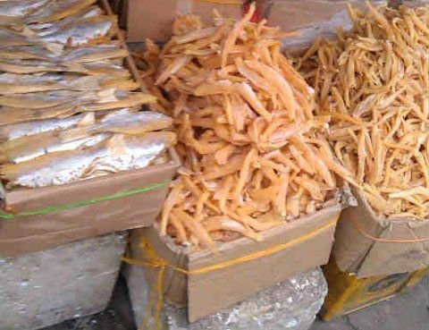 Kinh hãi hải sản để cả năm vẫn 