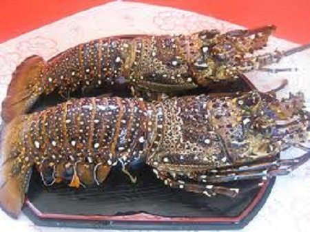 Thực phẩm 'khủng' nhập nhèm nguồn gốc vẫn 'cháy' hàng