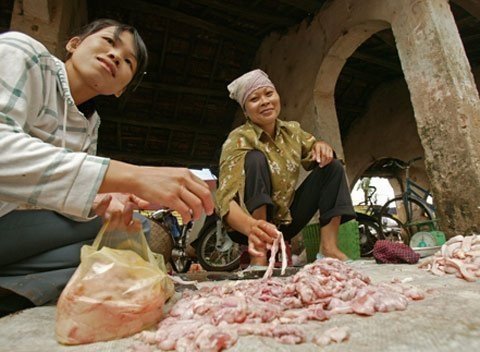 Về đề xuất nhập nội tạng: Đề nghị Chính phủ cân nhắc kĩ