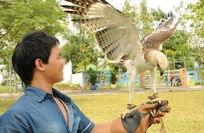 Thú chơi sinh vật độc, lạ của 'đại gia' Việt