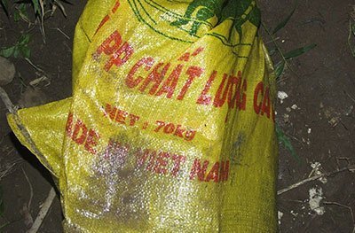 Vợ rủ nhân tình giết chồng, thả xác trôi sông