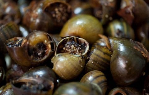 Địa ốc thì ế, thực ốc lại 'phất'