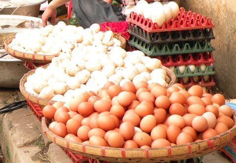 Điều tra xử lý CP tăng giá trứng gà