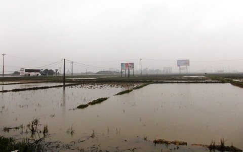 Khó lý giải quanh vụ một phụ nữ chết bên ruộng lúa