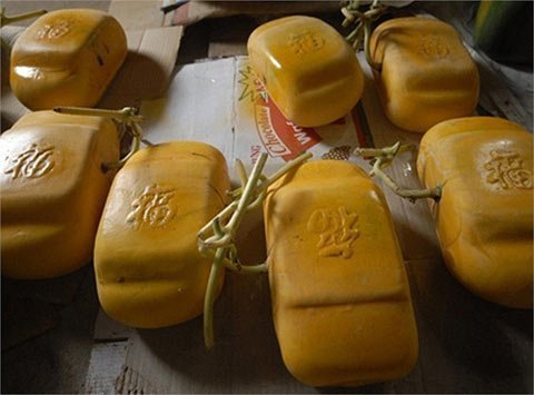 Những loại quả 'độc' chưng tết giá tiền triệu