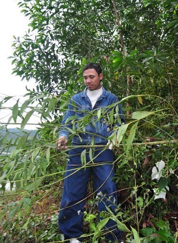 'Một thời ngang dọc' của đại ca Hủng Trăn