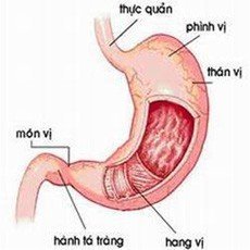 Cắt u dạ dày qua đường miệng lần đầu ở VN