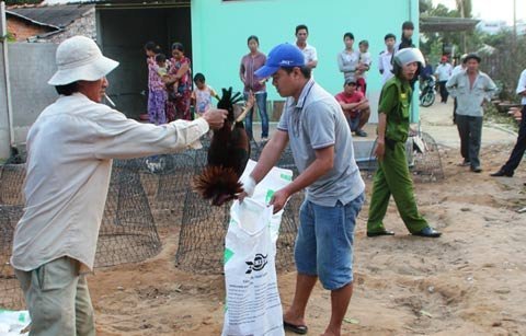 Gí súng vào chủ rồi đập chết cả đàn gà