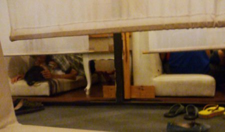 Học sinh diễn cảnh nóng ở cà phê 