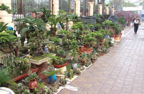 Người Hà Nội ăn tết: Tự làm, tự gói, tự mua