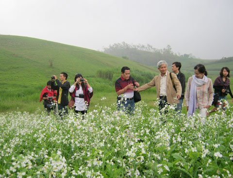 Phá giá tour du lịch tết, chấp nhận bán lỗ
