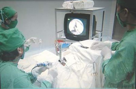 Khi những người câm bỗng cất tiếng