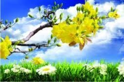 Mùa xuân và những tấm lòng thiện nguyện