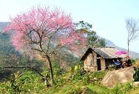 Gửi Mùa Xuân ra đảo