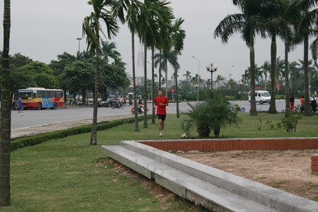 Đua nhau 'băm nát' vườn hoa Mỹ Đình