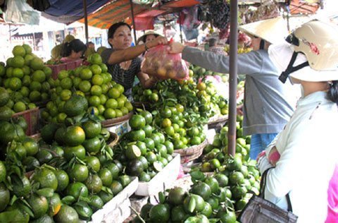 Dân khiếp hàng Tàu, hoa quả nội thắng vụ tết