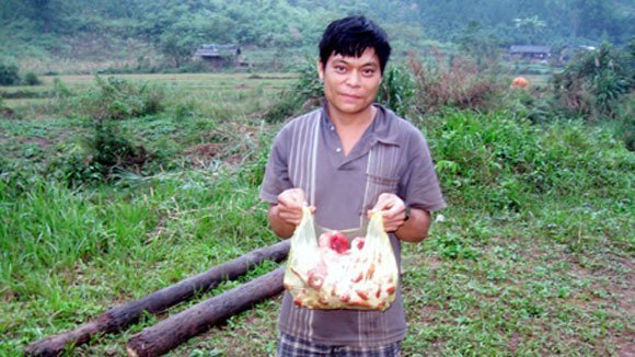 Khốn đốn vì buôn nấm với người Tàu