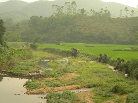 Xa xôi hương nếp Mai Châu