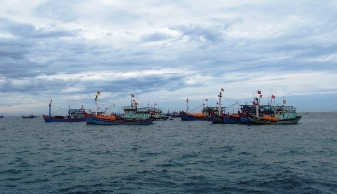 Lý Sơn… mùa không tỏi
