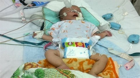 Cha mẹ không tiền: Sinh linh bé nhỏ cần sự sống