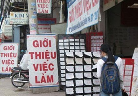 Lao động Tết, kiếm 1 triệu/ngày