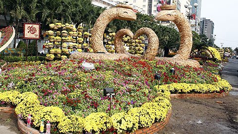 Lộng lẫy đường hoa xuân Nguyễn Huệ