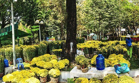 Muôn sắc hoa ở chợ hoa Sài Gòn
