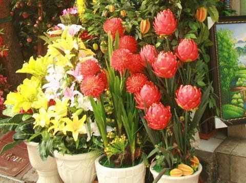 Độc đáo phố hoa 