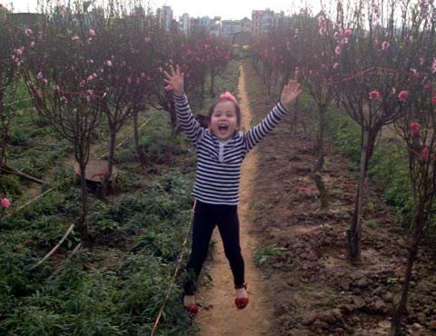 Dáng xinh bên hoa đào