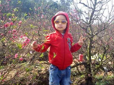 Em bé Hà Nội đi chơi xuân