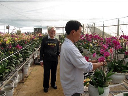 Lạc vào xứ hoa xuân Mộc Châu