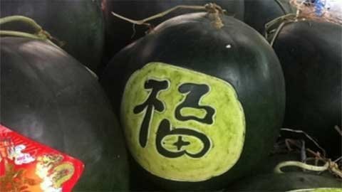 Khắc dưa hấu Tết kiếm bạc triệu mỗi ngày