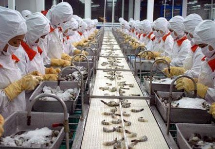 Tìm lại và làm mới mình