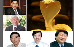 Các Sếp ngân hàng tuổi Quý Tỵ