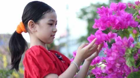 Nét xuân quê trên đỉnh tháp Nhạn