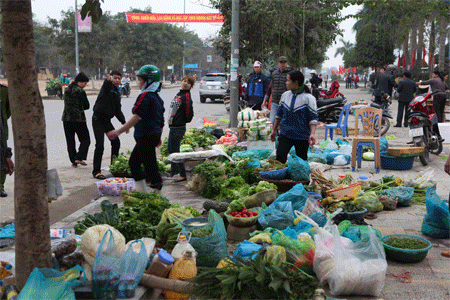 Thị trường hàng Tết: Sôi động và tăng giá