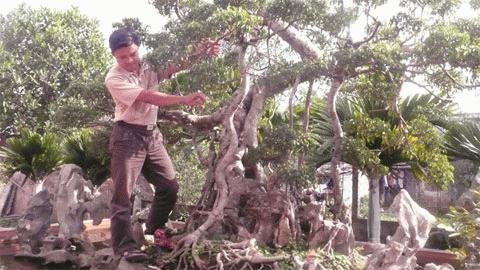 Nông dân sáng tạo để đại gia vớ tiền tỷ