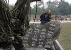 Những cây cảnh… kỳ dị nhất Việt Nam