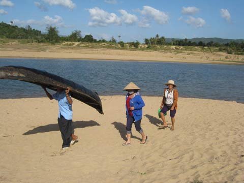 Những kiểu Tết 'lạ' ở Phú Yên