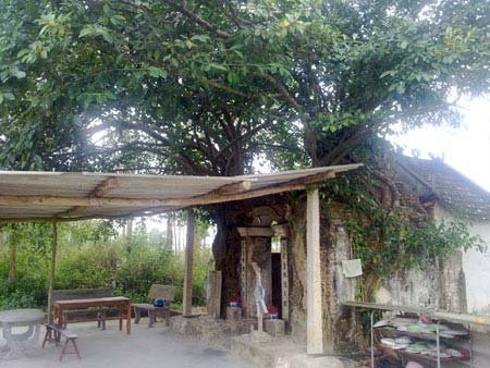 Bí ẩn con rắn vàng ở ngôi đền linh thiêng xứ Nghệ