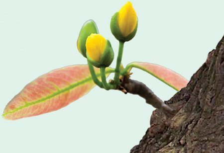 Tản mạn 'chuyện ấy': Bỗng dưng trỗi dậy bừng bừng