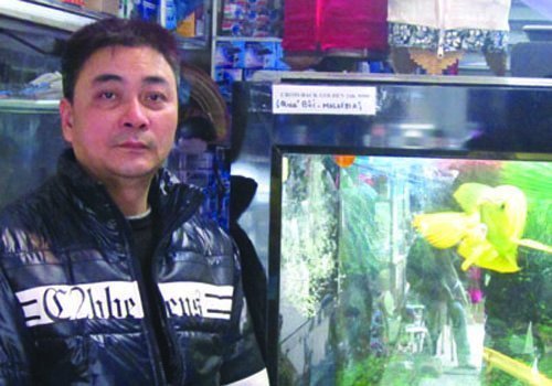 'Dân chơi' Hải Phòng kể thú chơi cá rồng nghìn đô