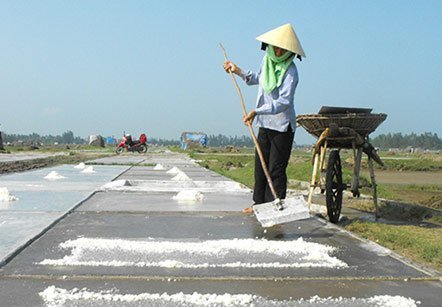 Hàng gì cũng nhập!