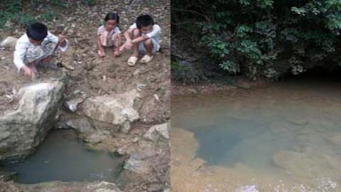 Kỳ lạ mó nước 'hiểu' tiếng người