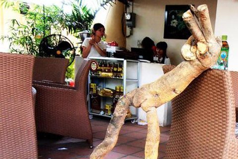 Bộ rễ cây xáo tam phân giá 10 triệu đồng