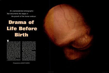 Hình ảnh ly kỳ về con người trước khi chào đời