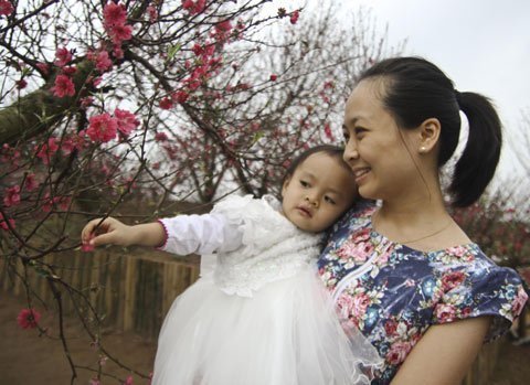 Những 'góc xuân' Hà Nội