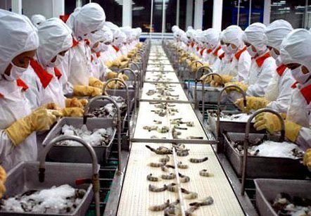 Làm thì phá sản, không làm thì chết lâm sàng