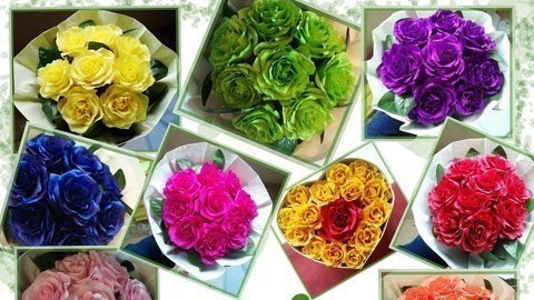 Thông tin quà 8/3 online được chú ý nhất tuần